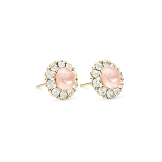 Rossete Earrings Lily and Rose Miss Sofia Flamingo