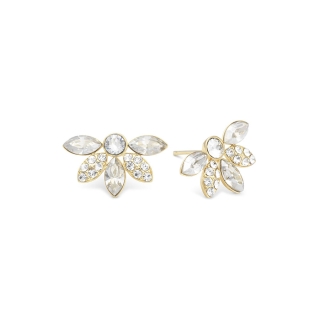Earrings Lily and Rose Petite Lucia