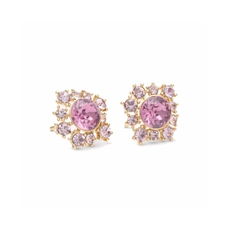 Rossete Earrings Lily and Rose Emily Iris