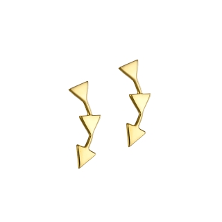 Women's earrings