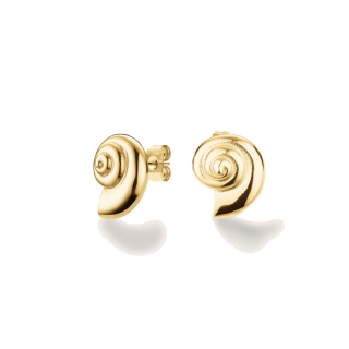 Rosefield Shell Earrings
