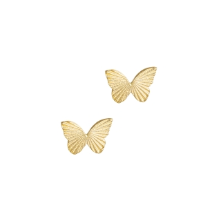 Σκουλαρίκια πεταλούδα